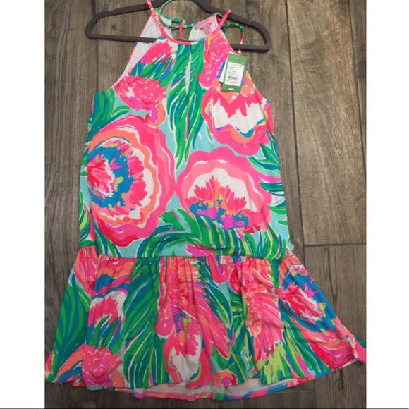 NWT Lilly Pulitzer Paradise Bound Isabeau Dress M - Picture 4 of 8